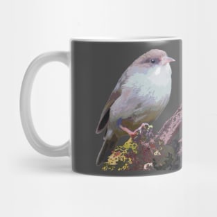 ‘Akikiki, Kaua’i Creeper Mug